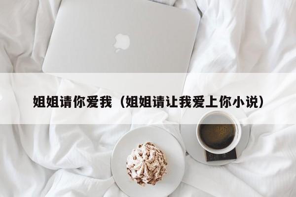姐姐请你爱我(姐姐请让我爱上你小说)