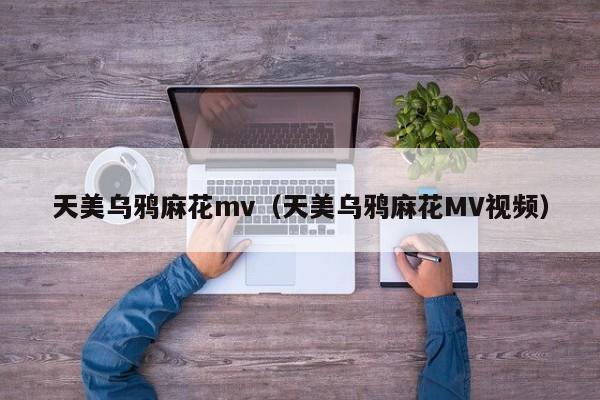 天美乌鸦麻花mv(天美乌鸦麻花MV视频)