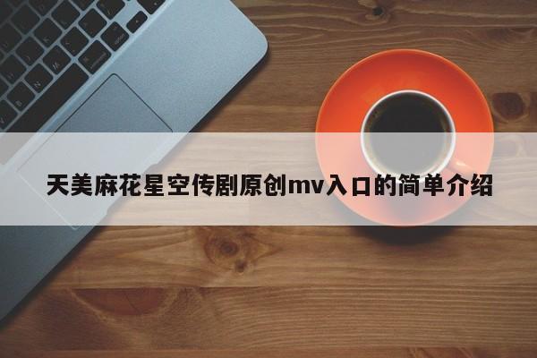天美麻花星空传剧原创mv入口的简单介绍